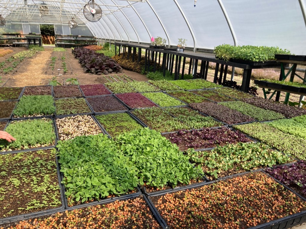 Inside the French Laundry Culinary Garden Hoop House