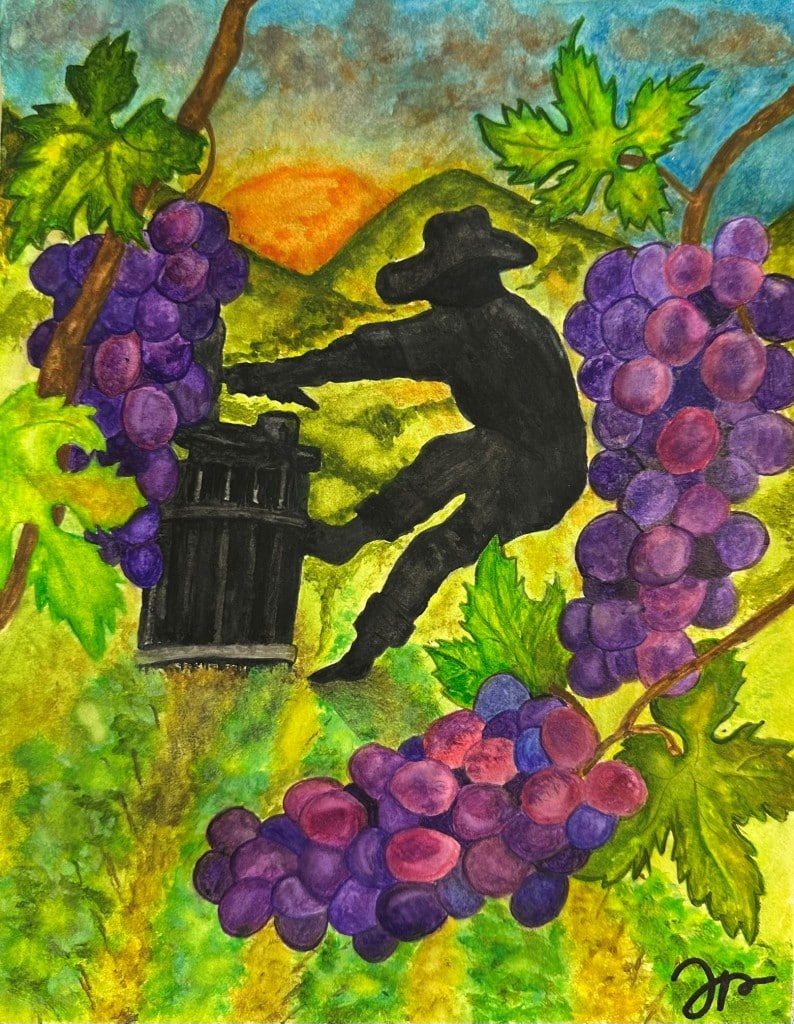 The 2025 Napa Agricultural Crop Report cover art was created by Jullian Pineda, a sixth grade student at
Unidos Middle School. Jullian’s watercolor presentation, is titled “Heart of Napa."